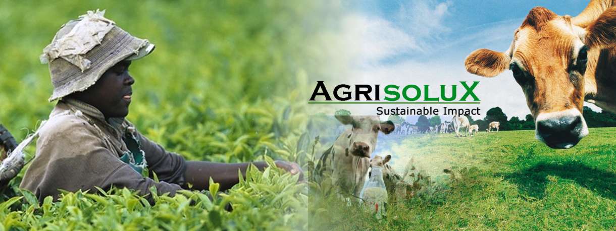 Agrisolux, a new baby comes to enlarge the Solux family